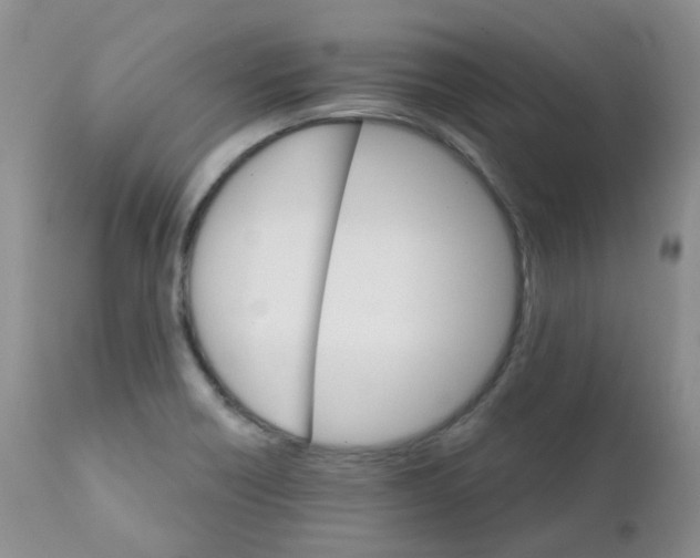 X0000111931418200908241104