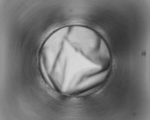 X0000111931419200908241104