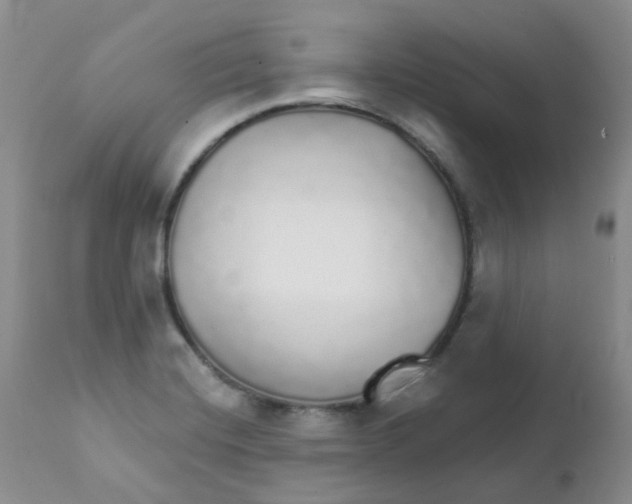 X0000111931420200908241104