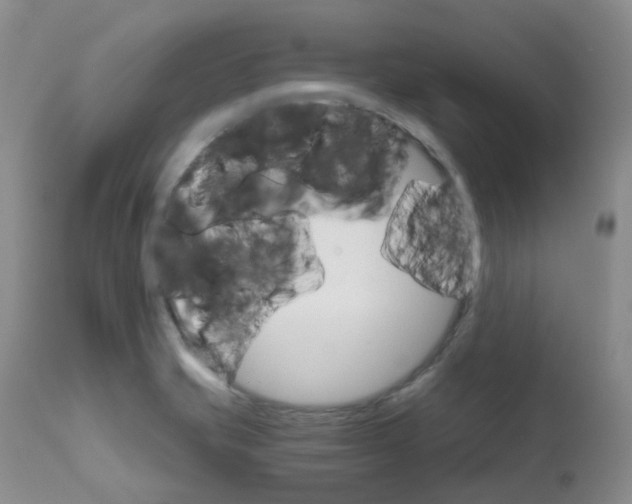 X0000111931421200908241104