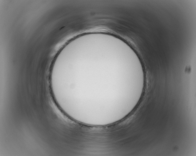 X0000111931422200908241104