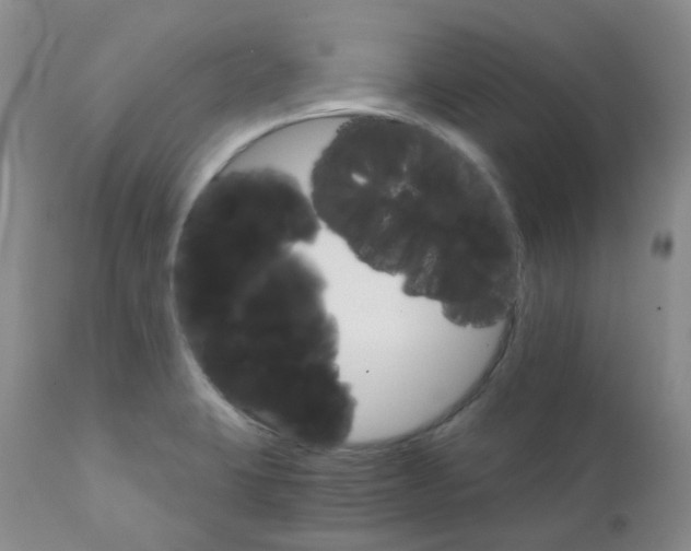 X0000111931423200908241104