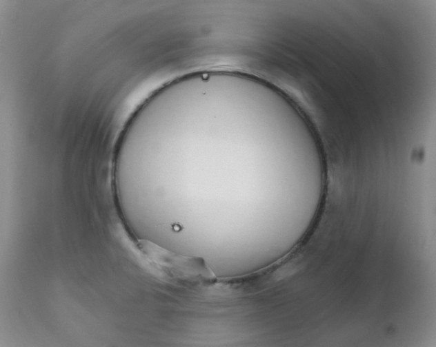 X0000111931424200908241104