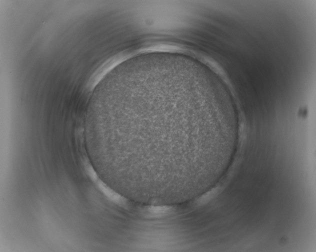 X0000111931425200908241104