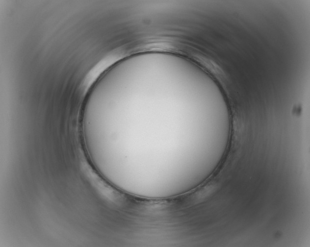 X0000111931426200908241104