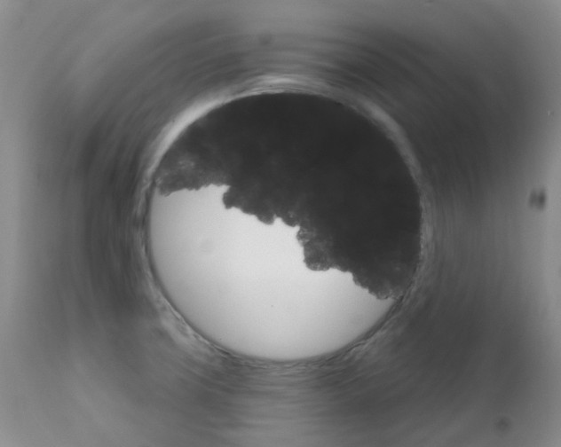 X0000111931427200908241104