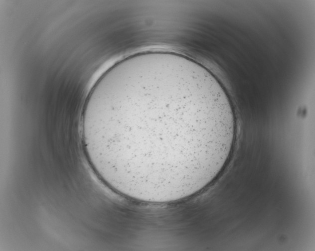 X0000111931428200908241104