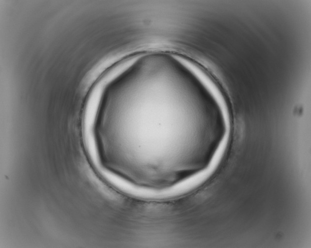 X0000111931429200908241104