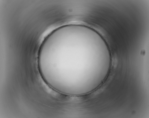 X0000111931430200908241104