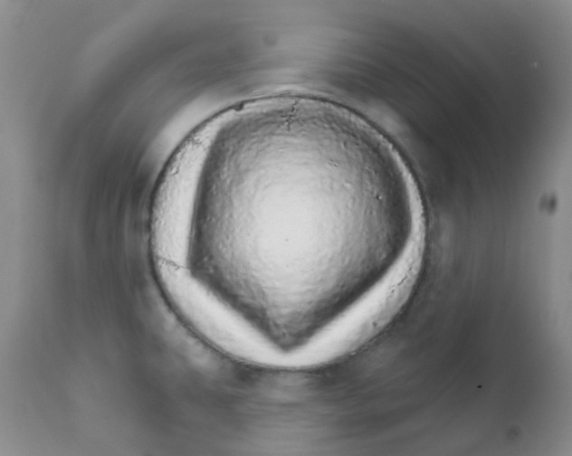 X0000111931431200908241104