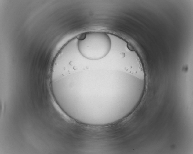 X0000111931432200908241104