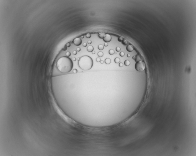 X0000111931437200908241104