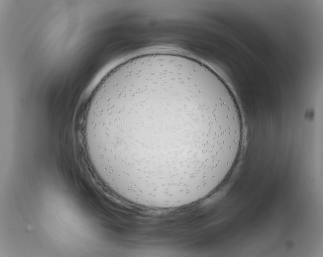 X0000111931438200908241104