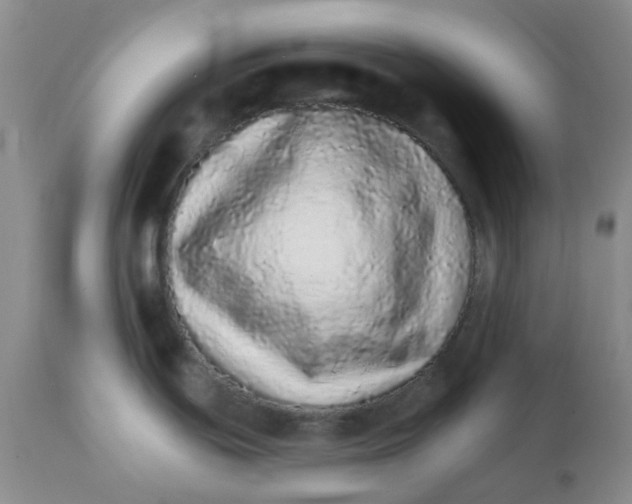 X0000111931439200908241104