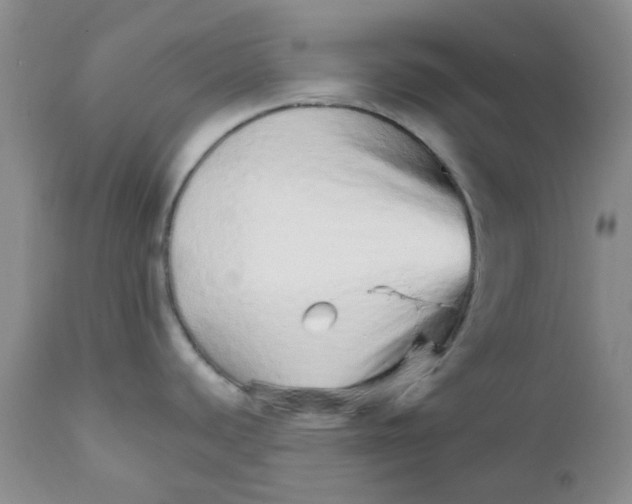 X0000111931440200908241104