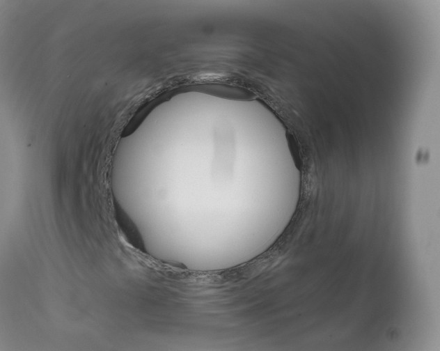 X0000111931441200908241104