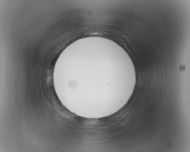 X0000111931442200908241104