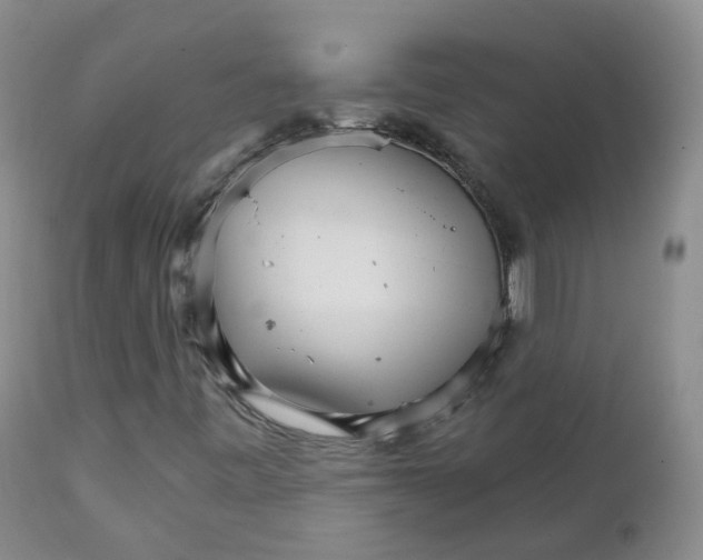 X0000111931443200908241104