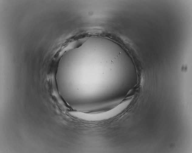 X0000111931445200908241104