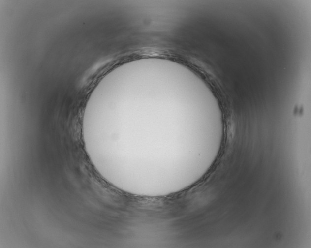 X0000111931446200908241104