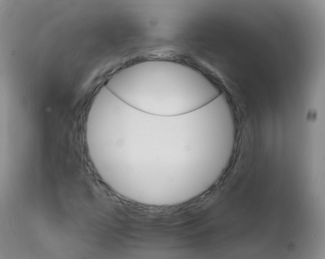 X0000111931447200908241104