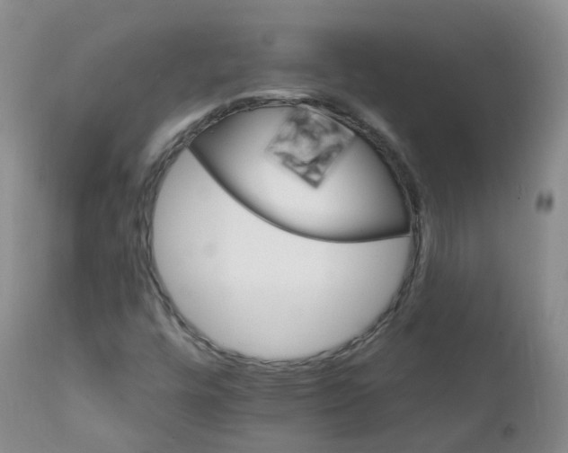 X0000111931448200908241104