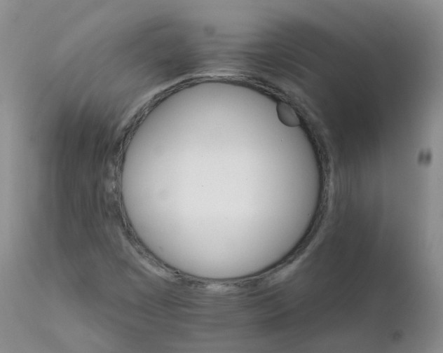 X0000111931449200908241104