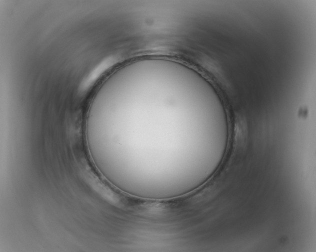 X0000111931450200908241104