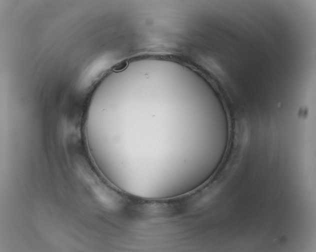 X0000111931451200908241104