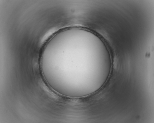 X0000111931452200908241104