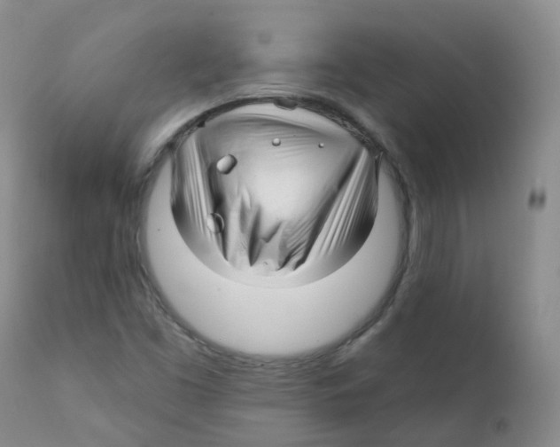 X0000111931453200908241104