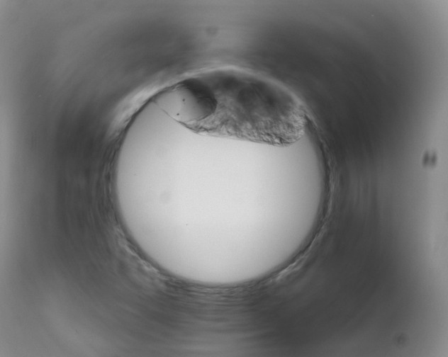 X0000111931455200908241104