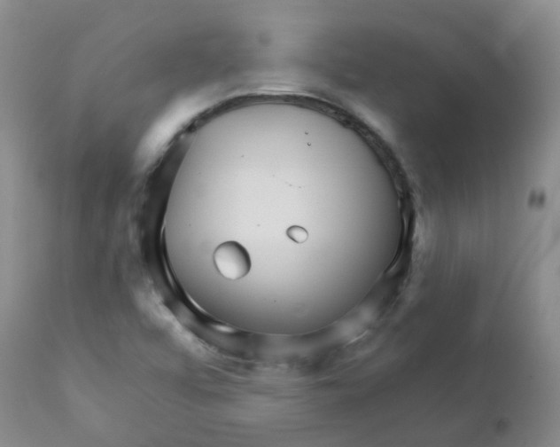 X0000111931456200908241104