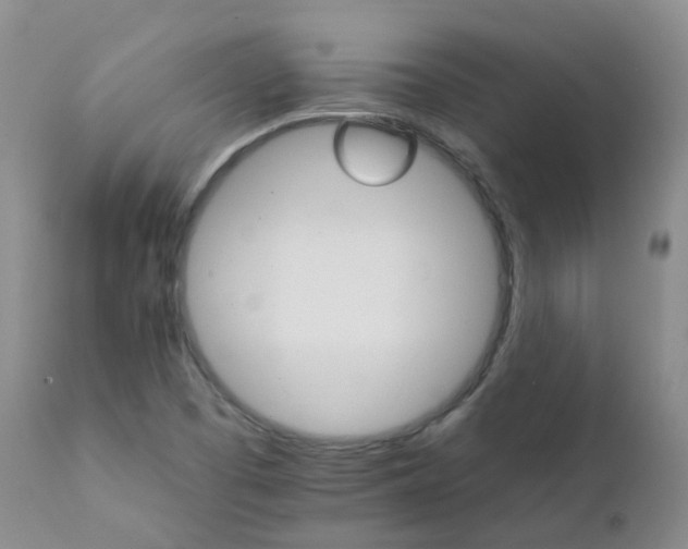 X0000111931457200908241104