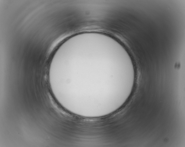 X0000111931458200908241104