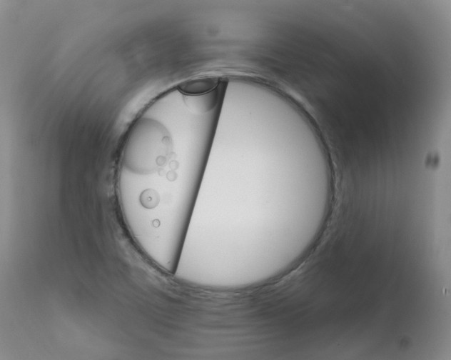 X0000111931459200908241104