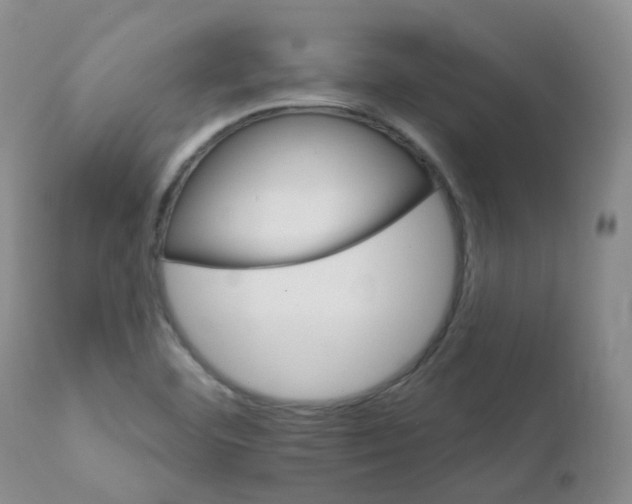 X0000111931460200908241104