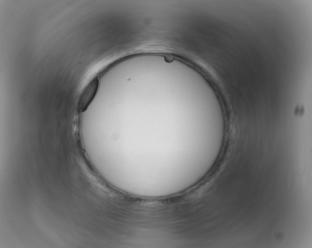 X0000111931461200908241104