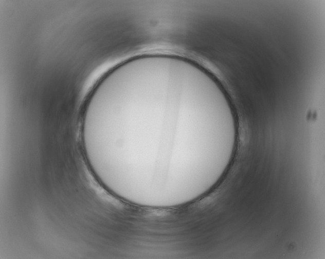 X0000111931462200908241104