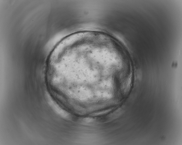 X0000111931463200908241104