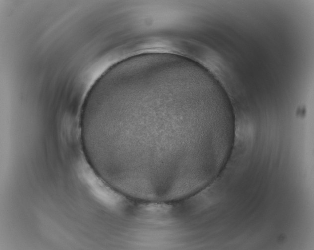 X0000111931466200908241103