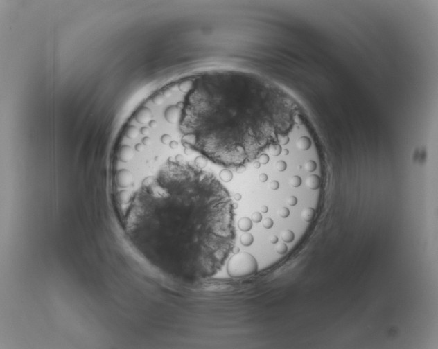 X0000111931467200908241103