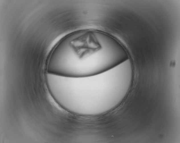 X0000111931468200908241103