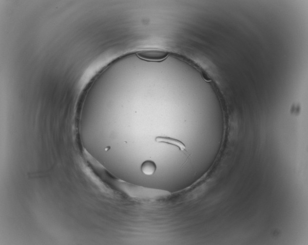 X0000111931469200908241103