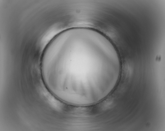 X0000111931470200908241103