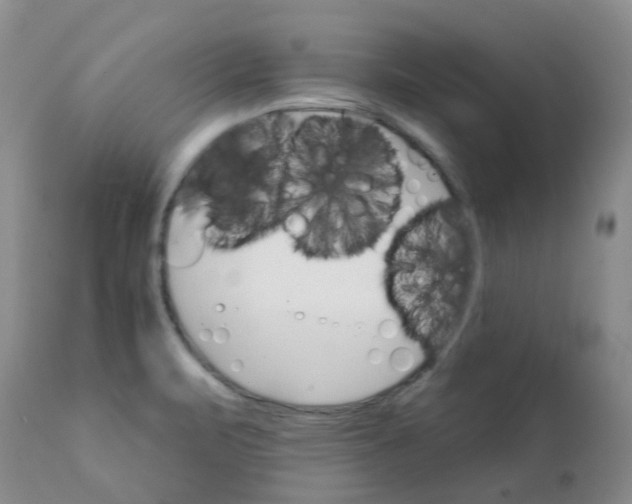 X0000111931471200908241103