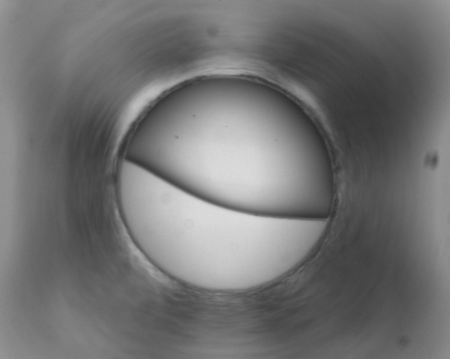 X0000111931472200908241103