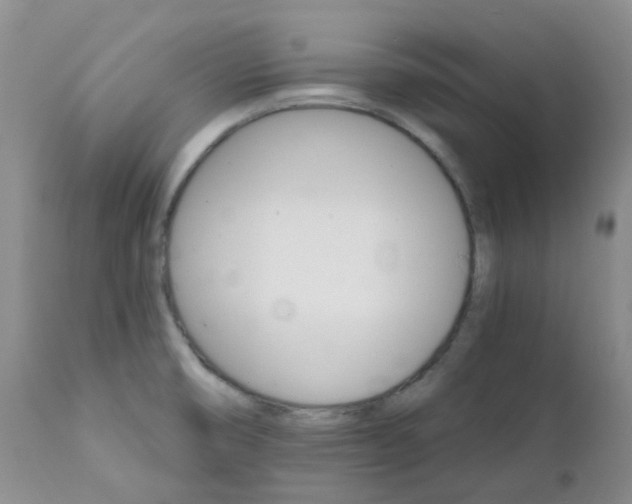 X0000111931474200908241103