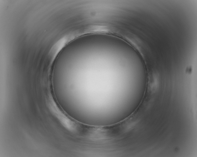 X0000111931475200908241103