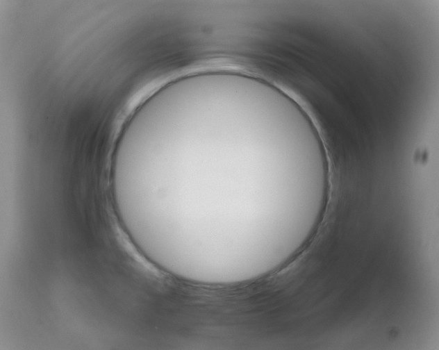 X0000111931477200908241103